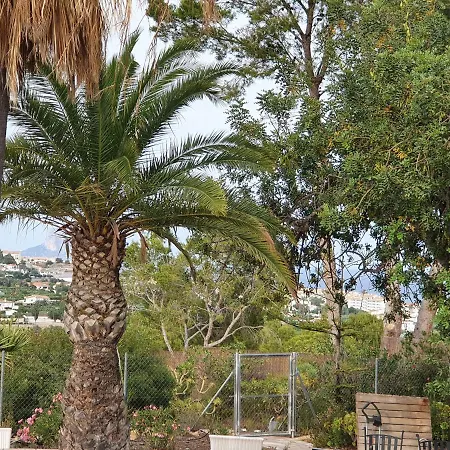 Elparaiso-altea 